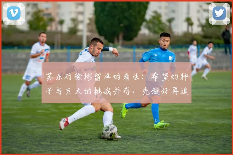 苏东对徐彬留洋的看法：希望的种子与巨大的挑战并存，先做好再追求完美