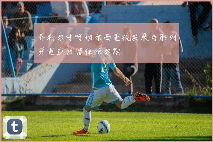乔科尔呼吁切尔西重视发展与胜利并重应该留住帕尔默