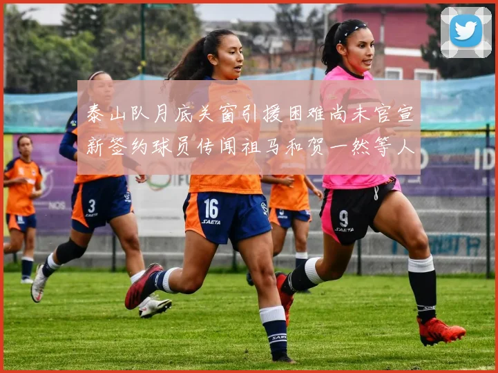 泰山队月底关窗引援困难尚未官宣新签约球员传闻祖马和贺一然等人